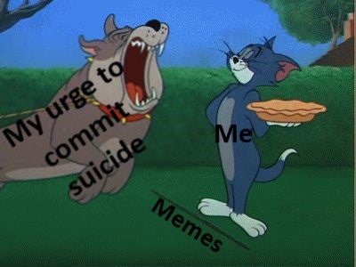 Detail Tom And Jerry Pie Meme Nomer 12