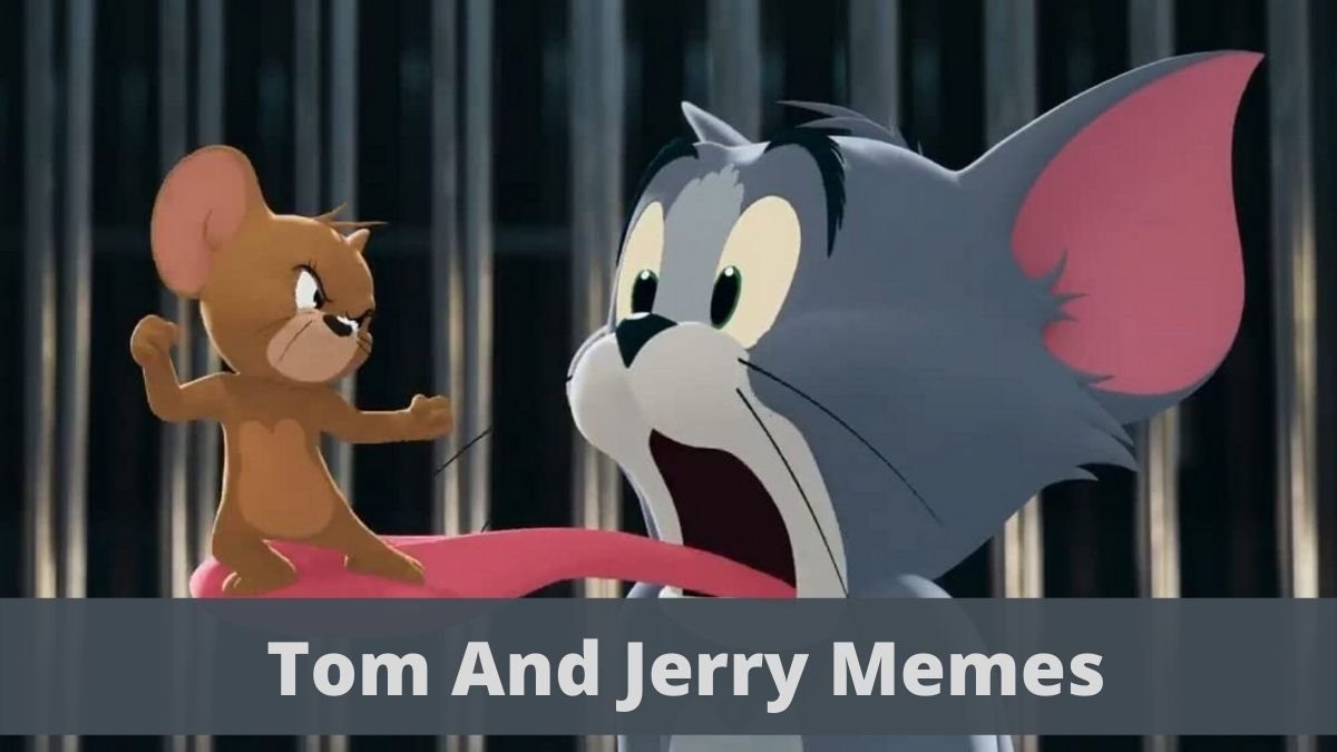 Detail Tom And Jerry Pie Meme Nomer 13