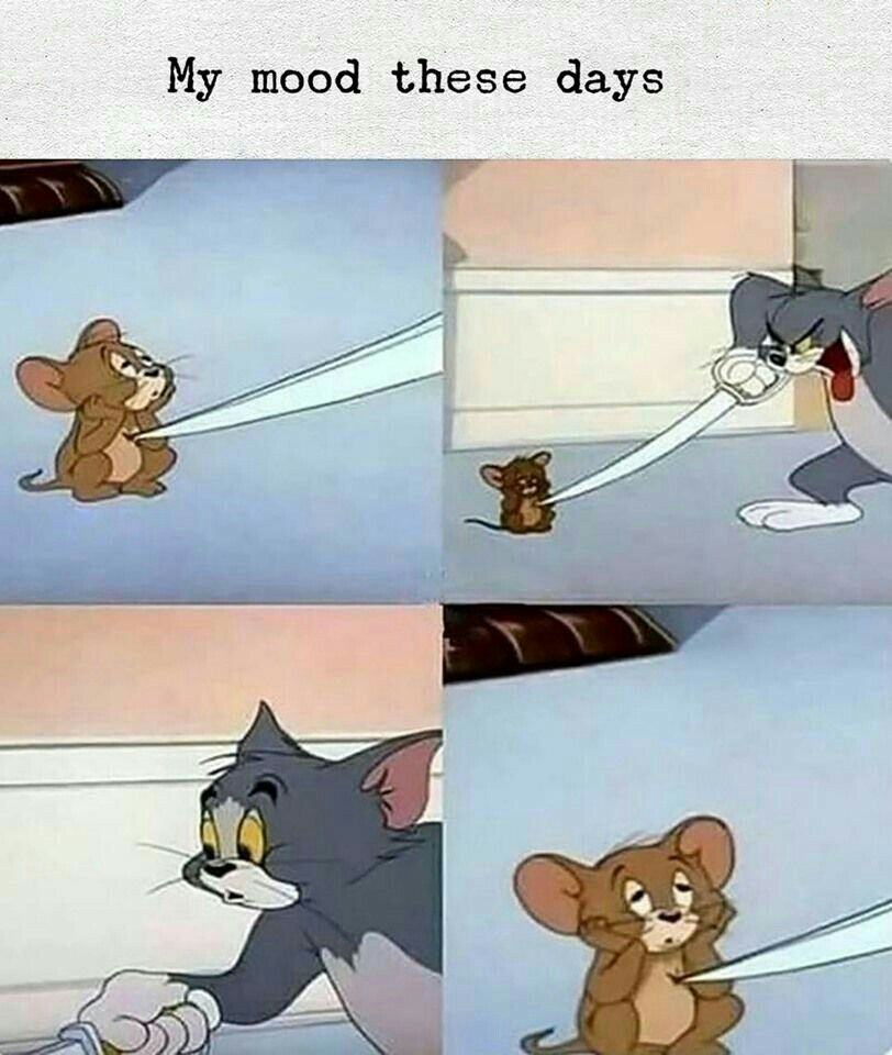 Detail Tom And Jerry Pie Meme Nomer 24