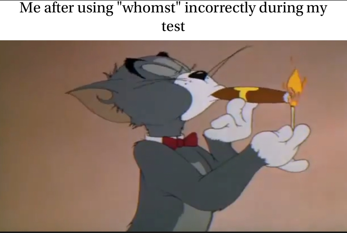Detail Tom And Jerry Pie Meme Nomer 29