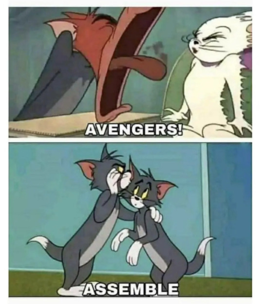 Detail Tom And Jerry Pie Meme Nomer 43