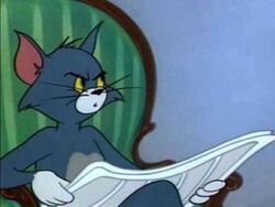 Detail Tom And Jerry Pie Meme Nomer 47