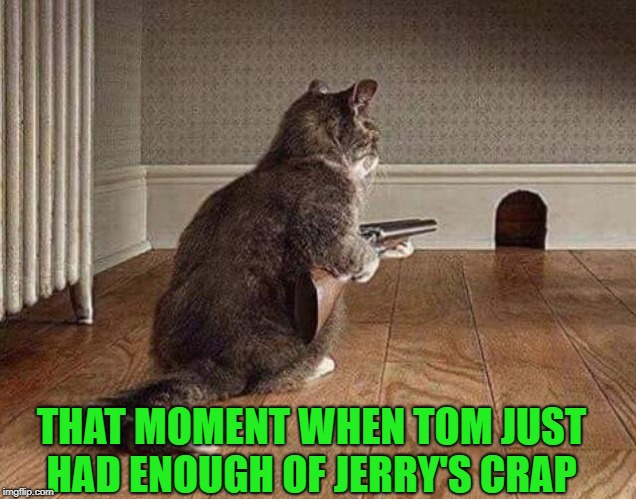 Detail Tom And Jerry Shotgun Meme Nomer 19