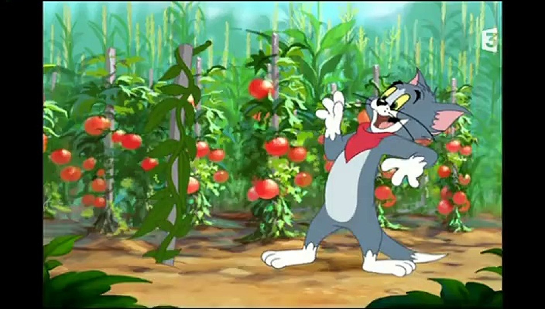 Detail Tom And Jerry Tales Nomer 13