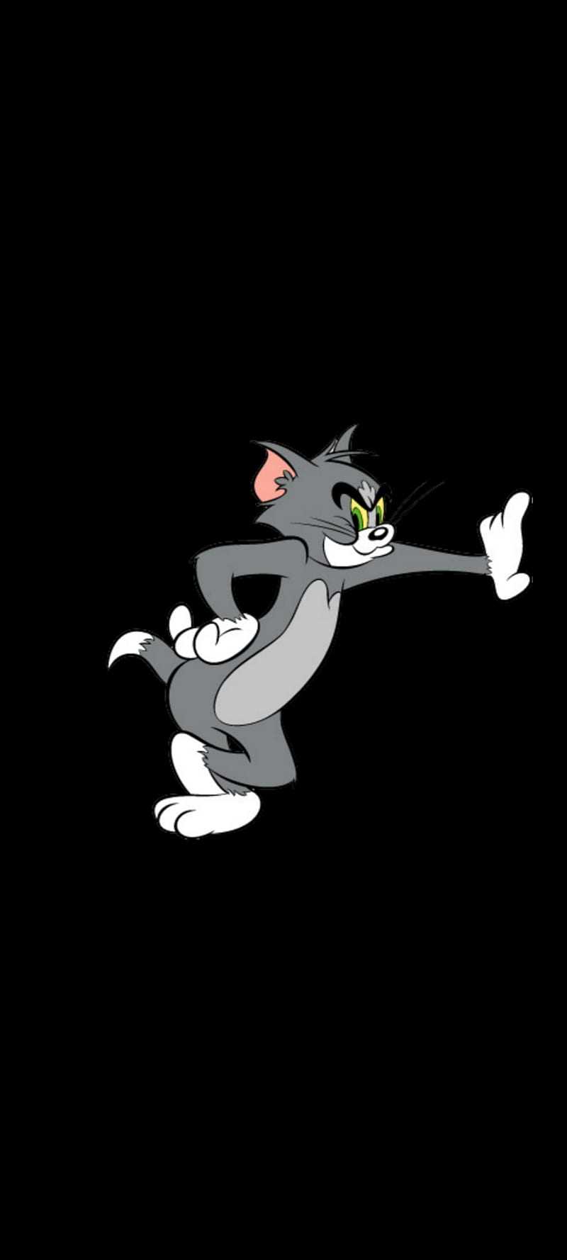 Detail Tom And Jerry Wallpaper Hd Nomer 27