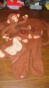 Detail Tom Arma Monkey Nomer 6