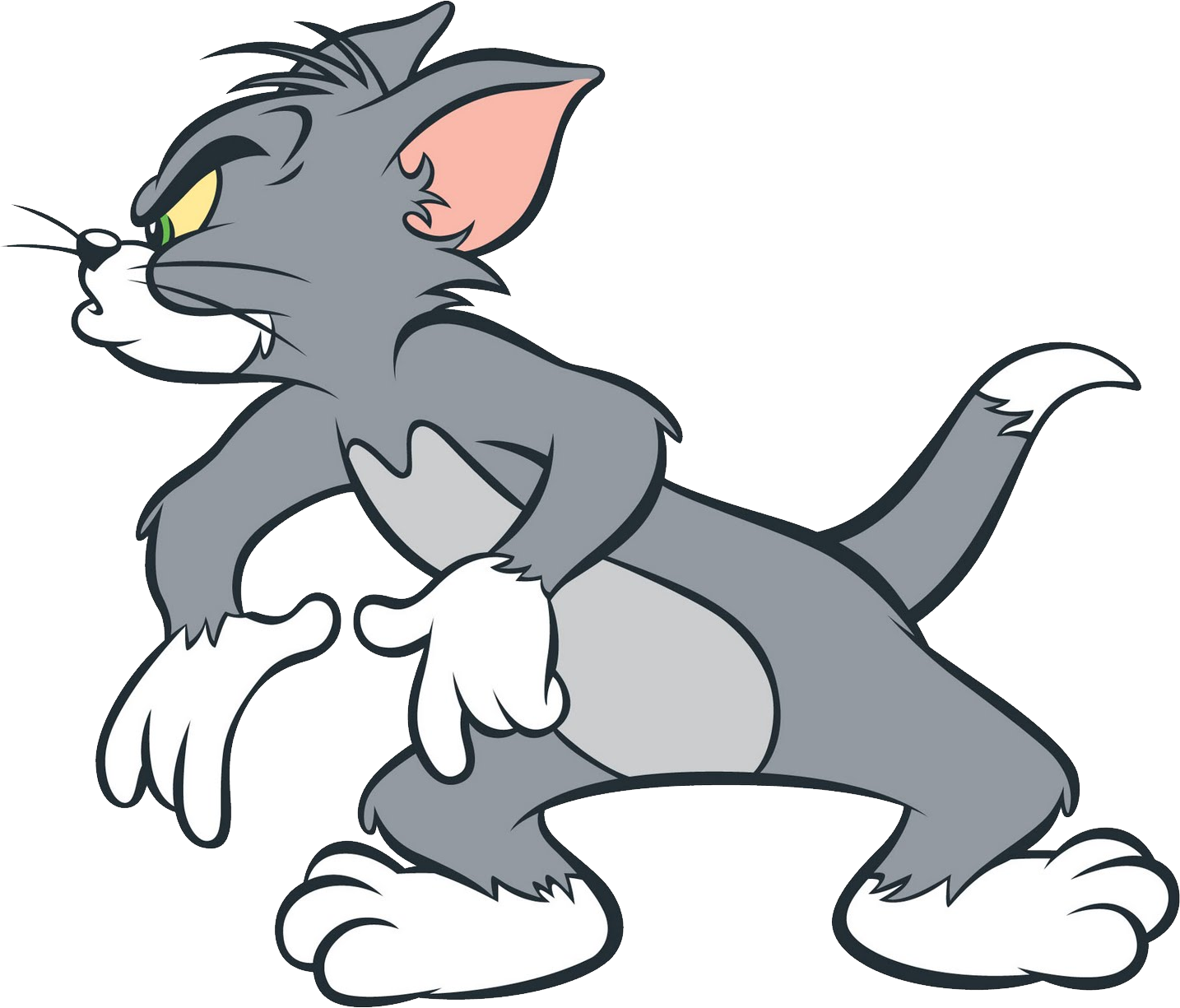 Detail Tom From Tom And Jerry Png Nomer 29
