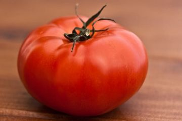 Detail Tomat Buah Atau Sayur Nomer 12