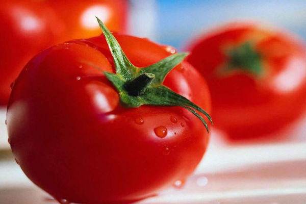 Detail Tomat Buah Atau Sayur Nomer 36