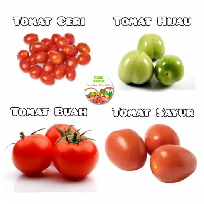 Tomat Buah Dan Tomat Sayur - KibrisPDR