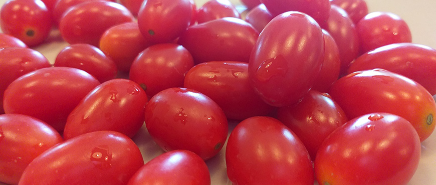 Detail Tomat Buah Dan Tomat Sayur Nomer 25
