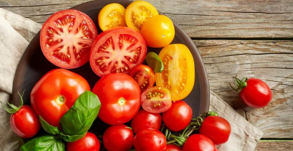 Detail Tomat Buah Dan Tomat Sayur Nomer 43
