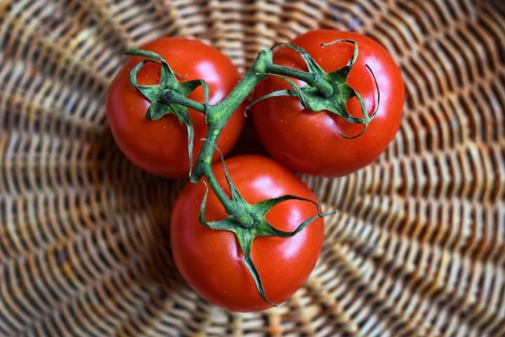 Detail Tomat Buah Dan Tomat Sayur Nomer 52