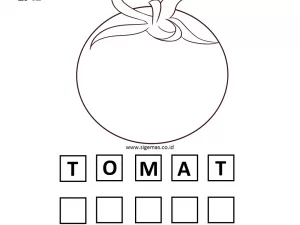 Detail Tomat Hitam Putih Nomer 37