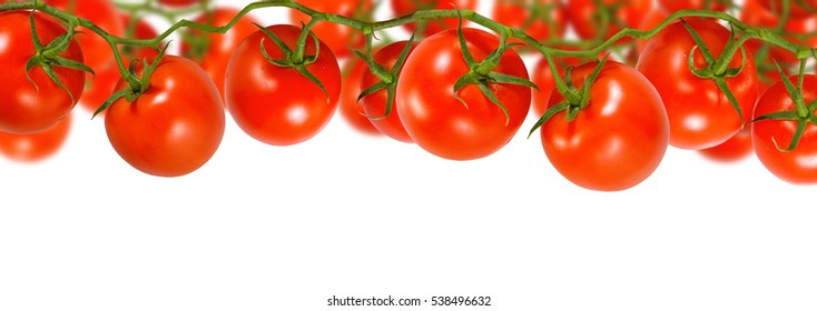 Detail Tomato Background Nomer 13