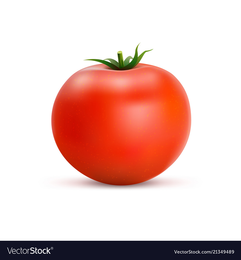 Detail Tomato Background Nomer 36