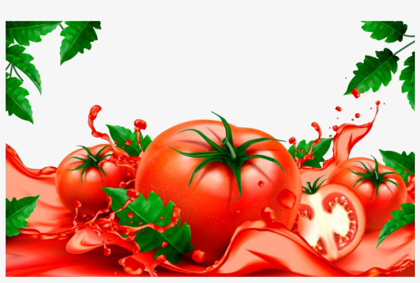 Detail Tomato Background Nomer 6