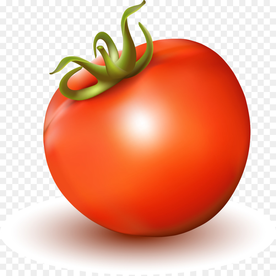 Detail Tomato Cartoon Png Nomer 44