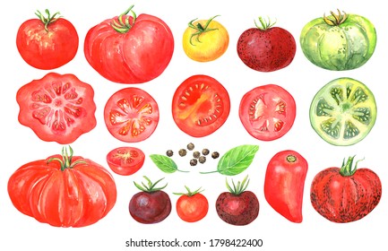 Detail Tomato Clipart Nomer 39