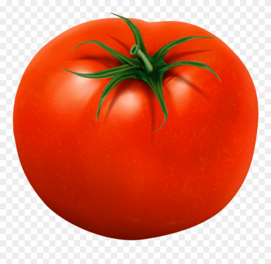 Detail Tomato Clipart Png Nomer 8