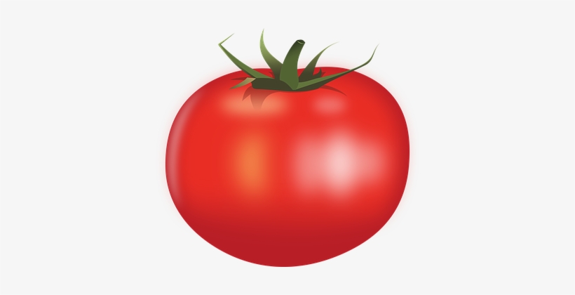 Detail Tomato Clipart Png Nomer 9