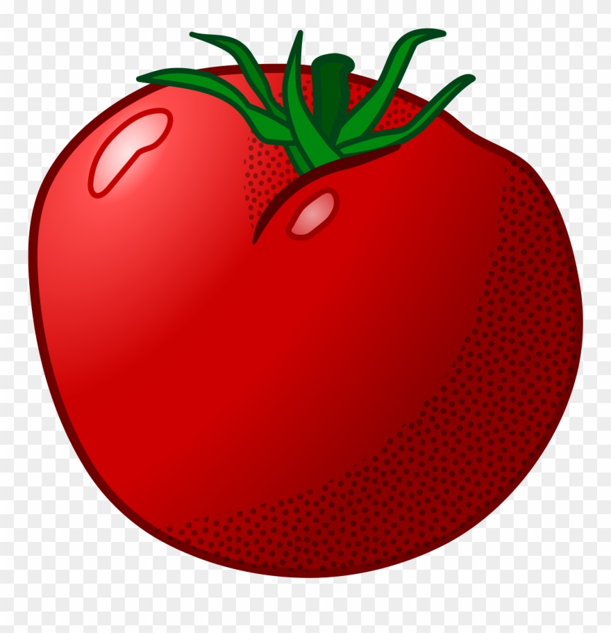 Detail Tomato Clipart Png Nomer 11