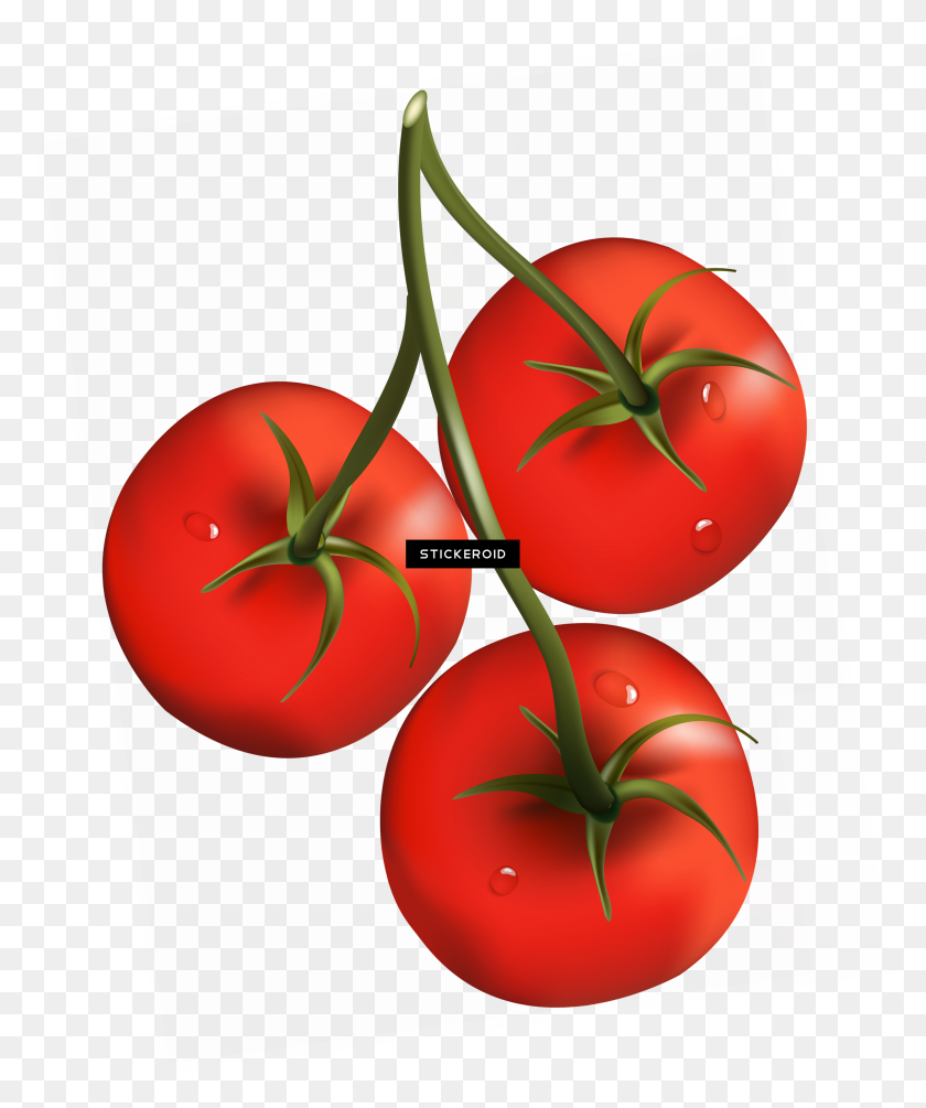 Detail Tomato Clipart Png Nomer 19