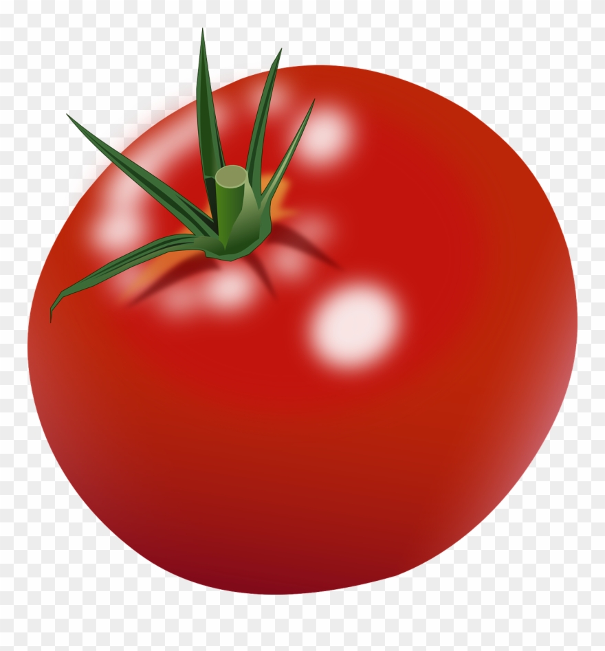 Detail Tomato Clipart Png Nomer 2