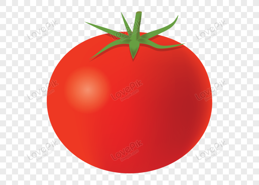 Detail Tomato Clipart Png Nomer 27