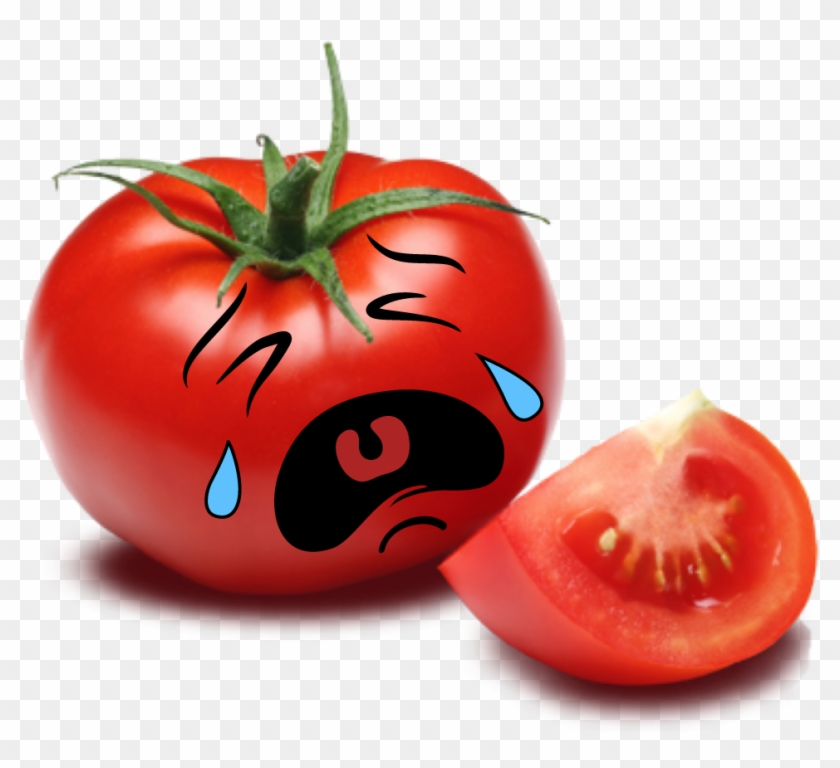 Detail Tomato Clipart Png Nomer 31