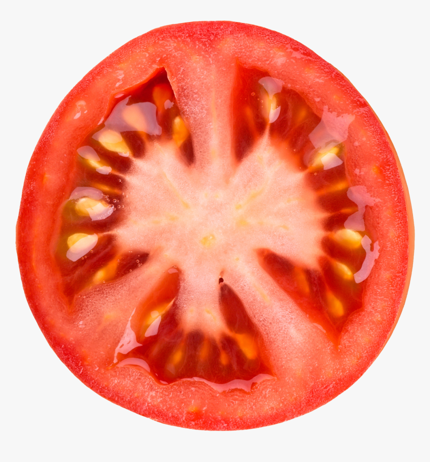 Detail Tomato Clipart Png Nomer 47