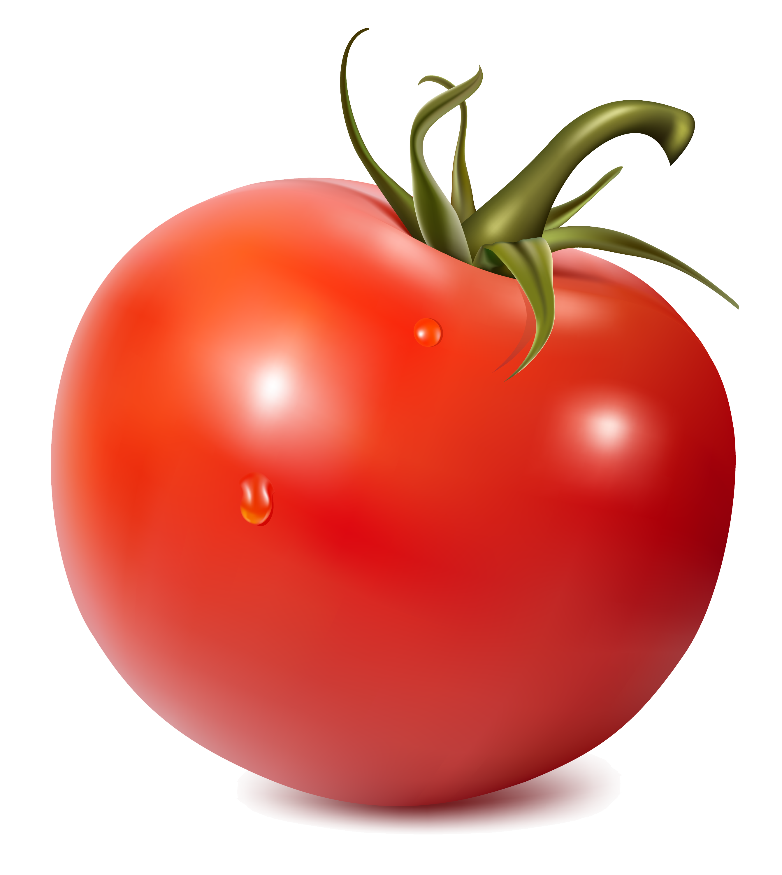 Detail Tomato Download Nomer 18