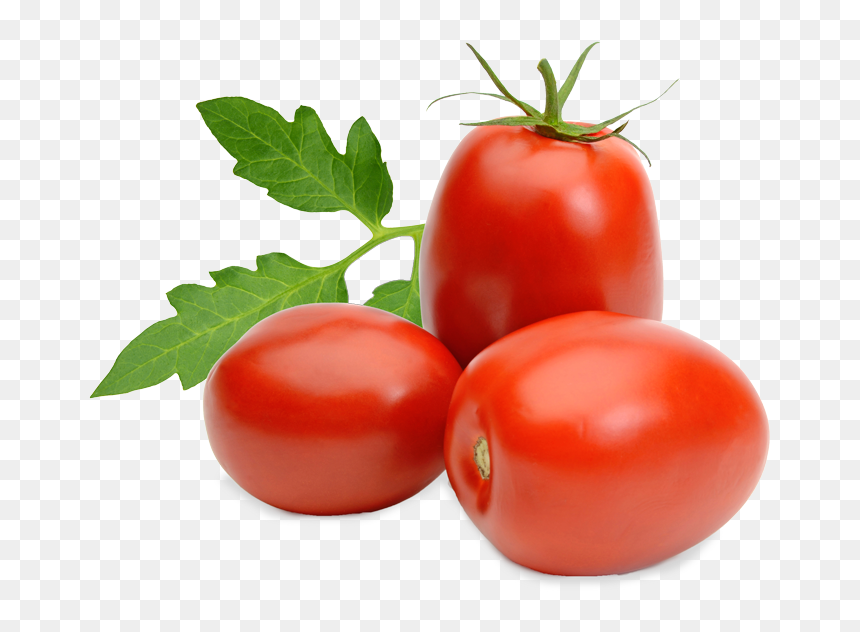Detail Tomato Download Nomer 20