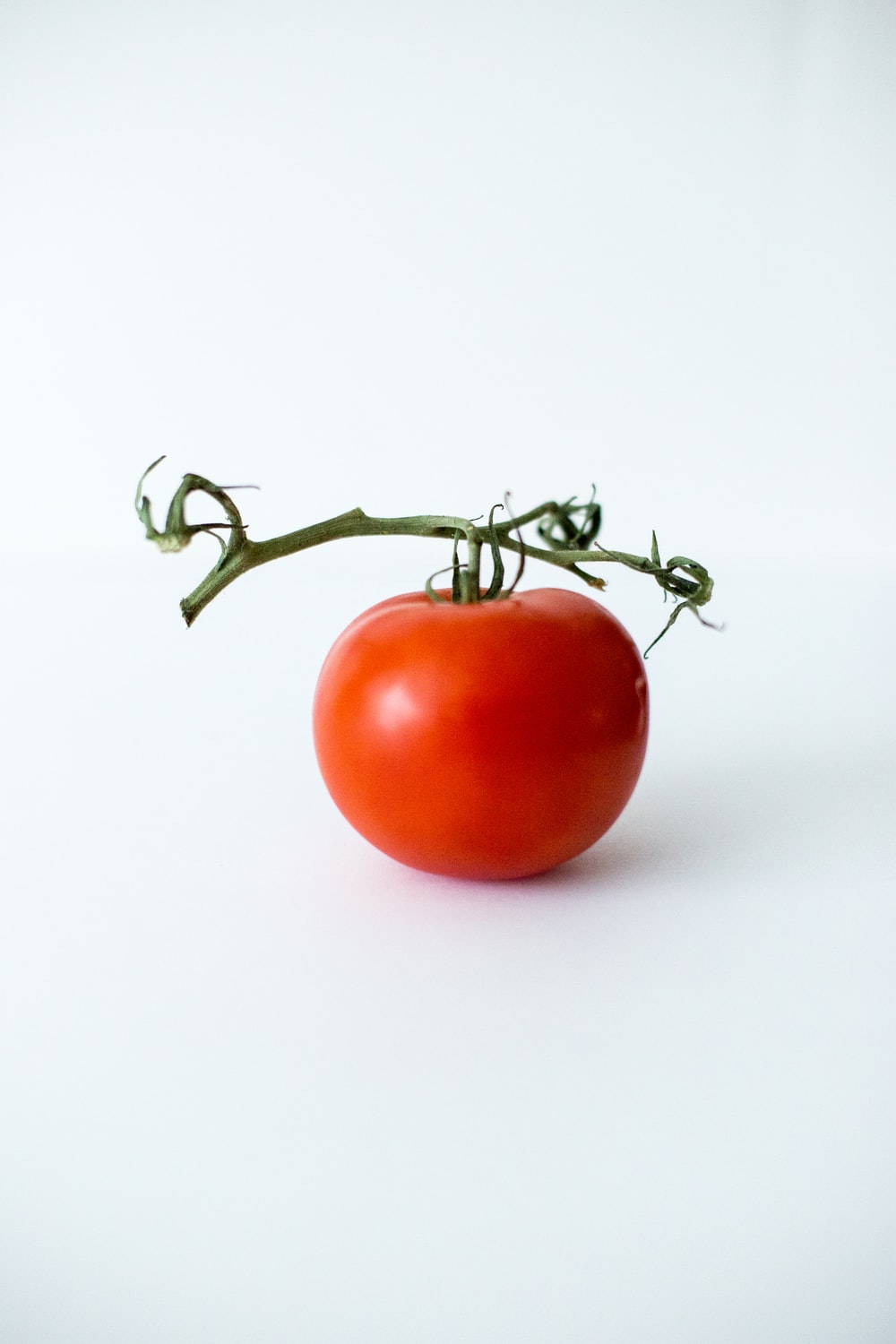 Detail Tomato Download Nomer 22