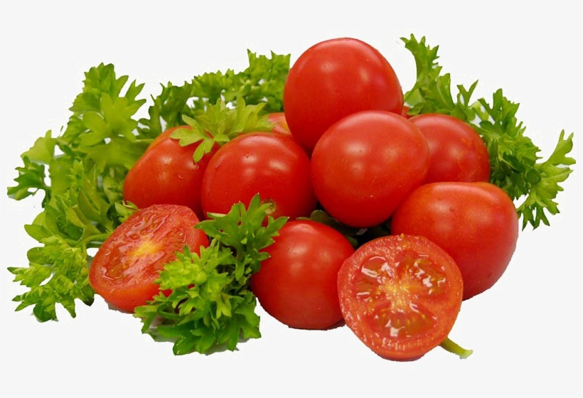 Detail Tomato Download Nomer 28