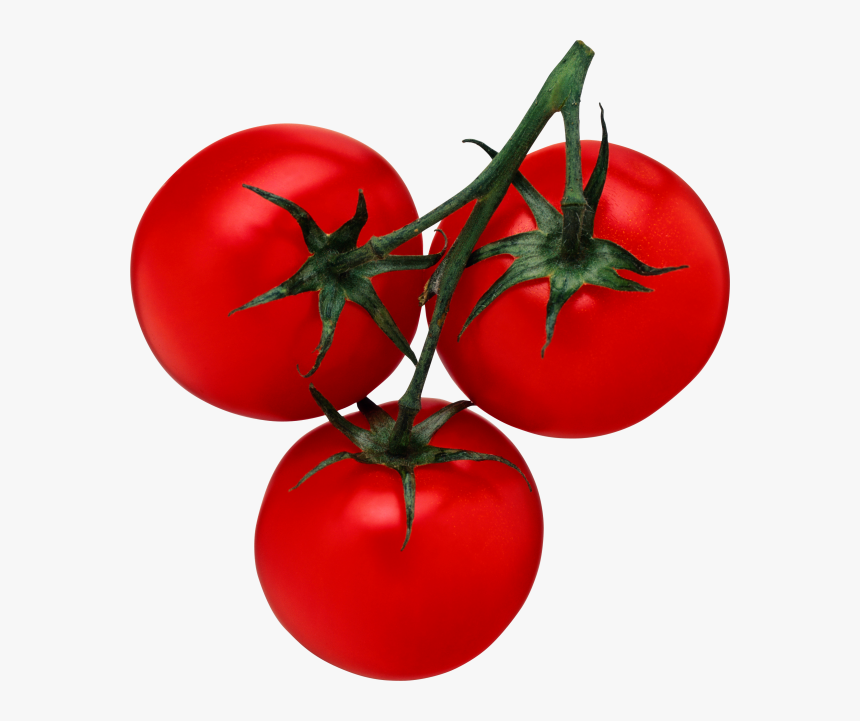 Detail Tomato Download Nomer 32