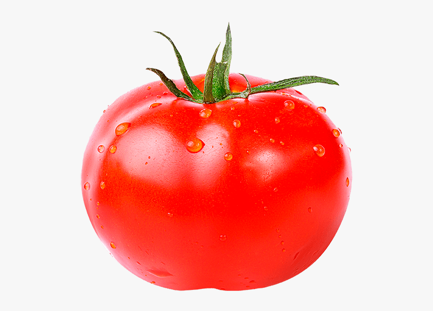 Detail Tomato Download Nomer 45