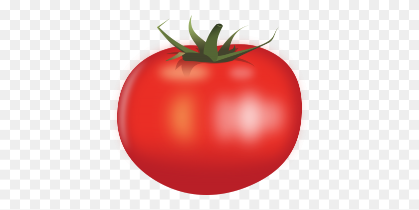 Detail Tomato Download Nomer 47