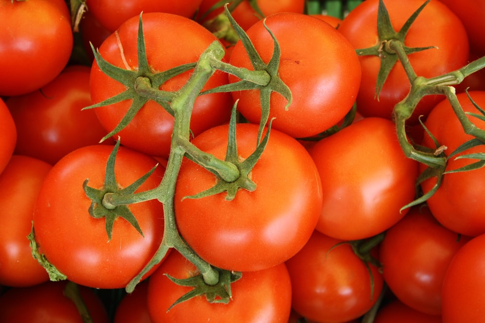 Detail Tomato Download Nomer 8