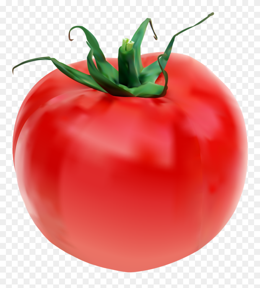 Detail Tomato Download Nomer 9
