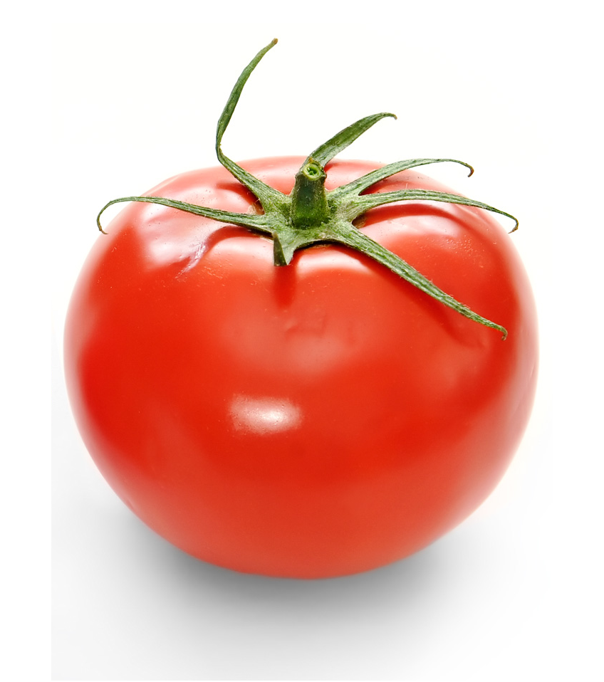 Detail Tomato Hd Nomer 31