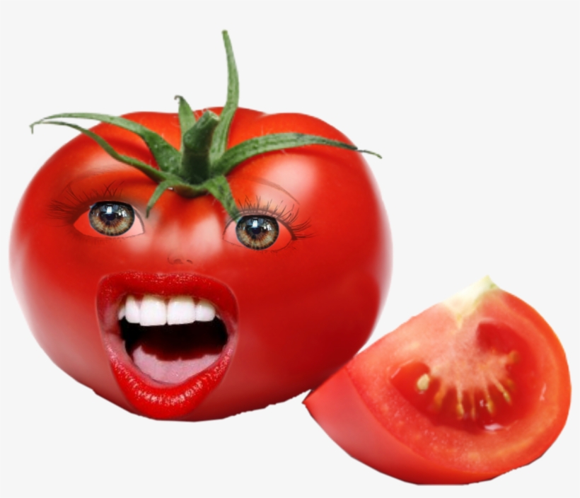Detail Tomato Hd Nomer 38