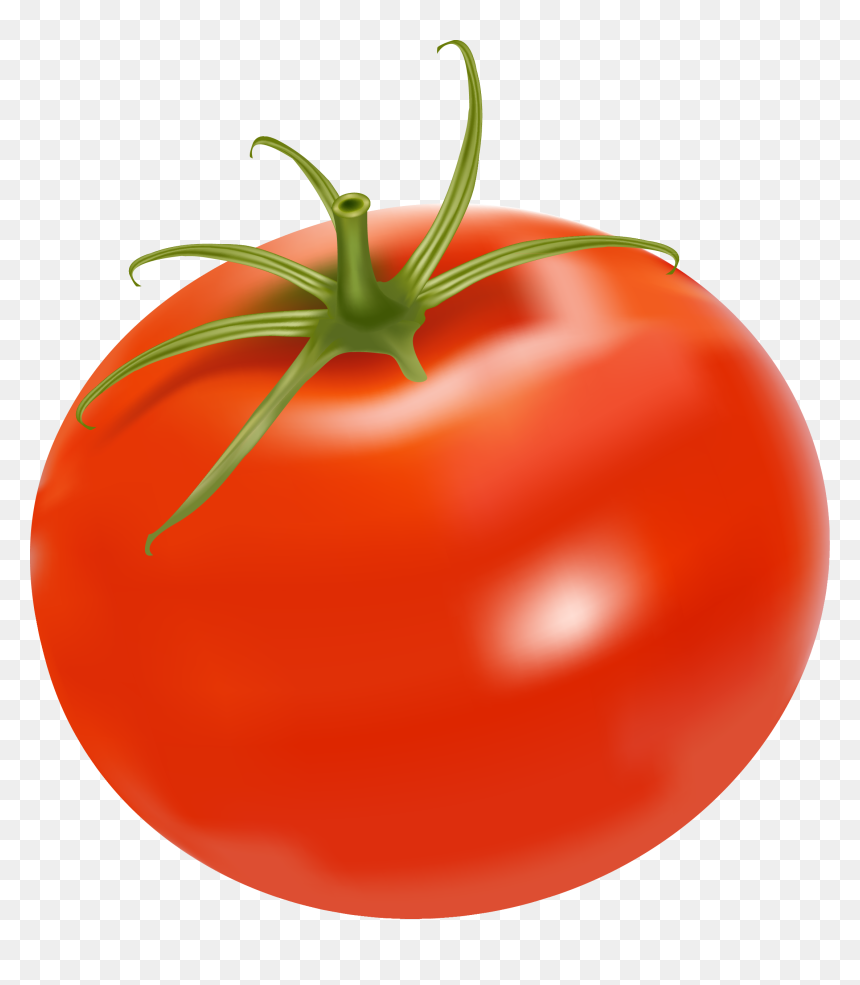 Detail Tomato Hd Nomer 40