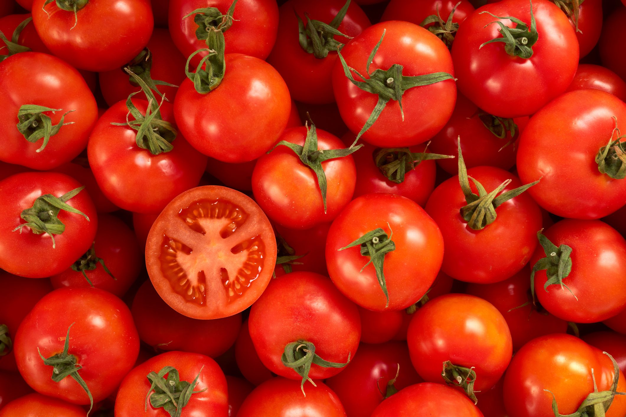 Detail Tomato Image Nomer 15