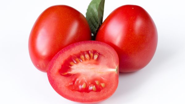 Detail Tomato Image Nomer 43