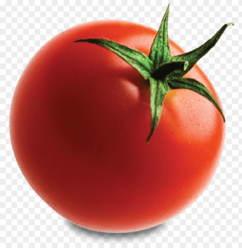 Tomato No Background - KibrisPDR