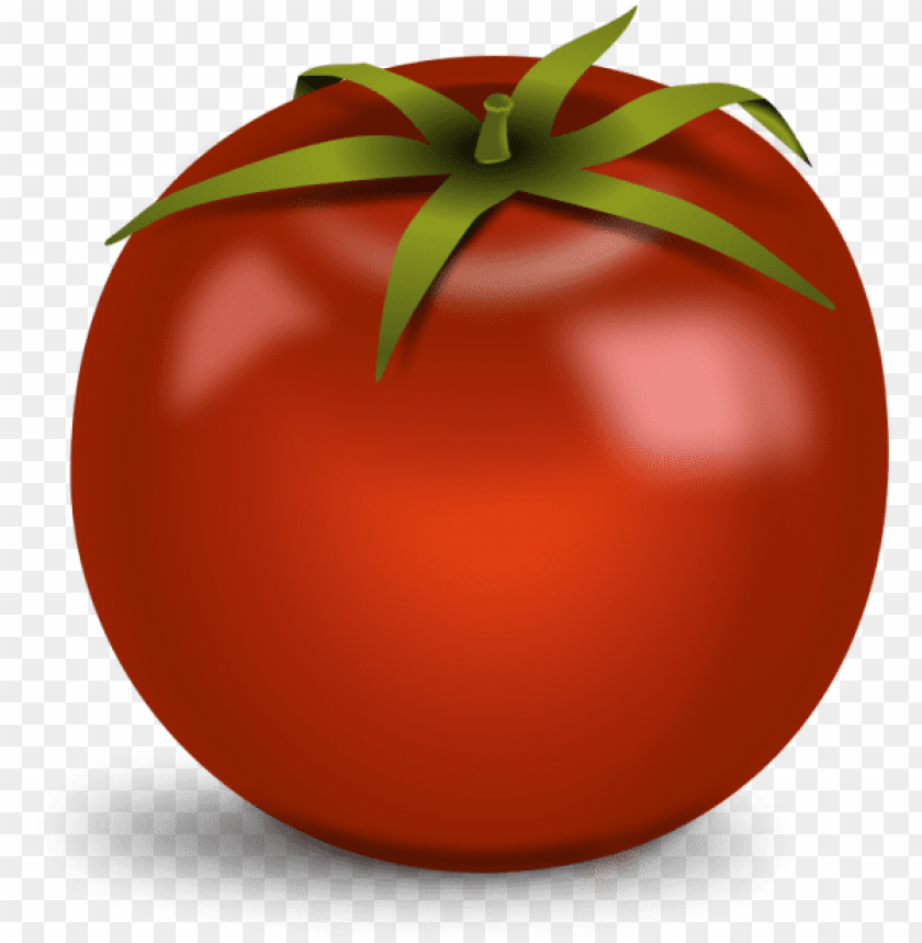 Detail Tomato No Background Nomer 11