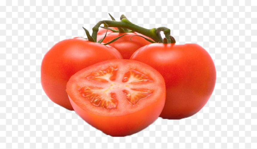 Detail Tomato No Background Nomer 12