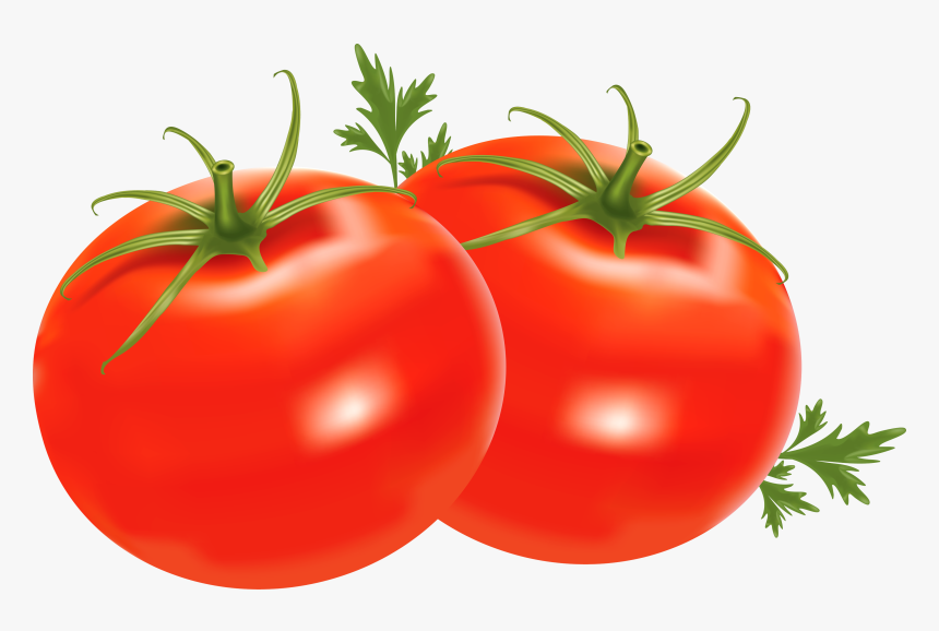 Detail Tomato No Background Nomer 19