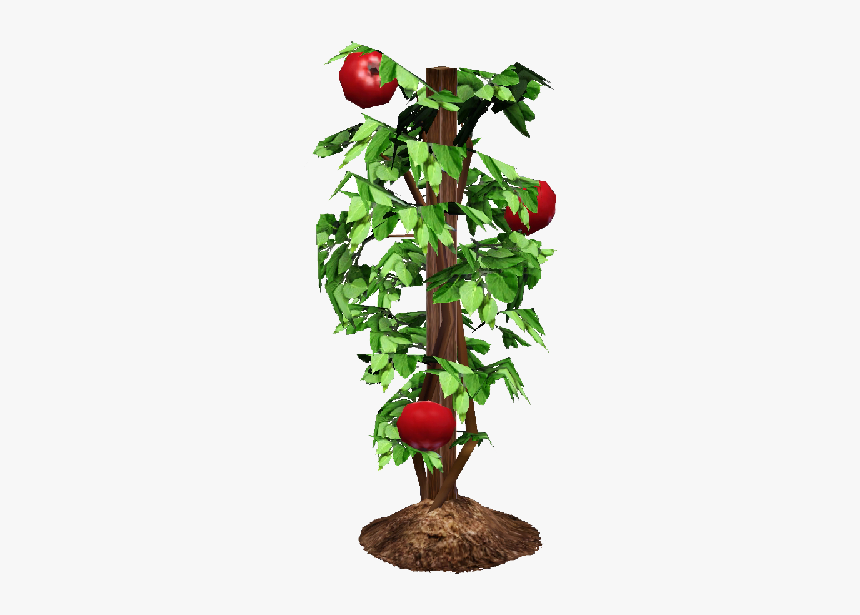 Detail Tomato Plant Png Nomer 6